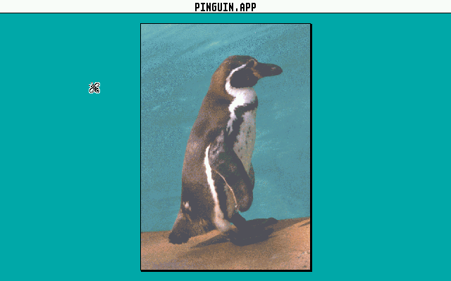 Pinguin — screenshot 1